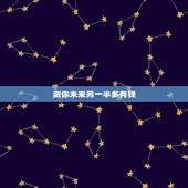 测你未来另一半多有钱，趣味测试~你的未来另一半是哪个星座