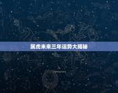 属虎未来三年运势大揭秘，揭秘未来纳米技术视频