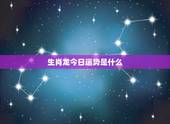 生肖龙今日运势是什么，生肖龙的运程