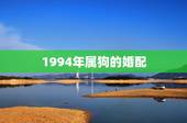 1994年属狗的婚配，94年属狗姻缘