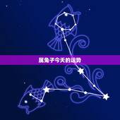 属兔子今天的运势，兔子今年的运势