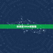 林青霞1954年属相，林青霞属什么生肖