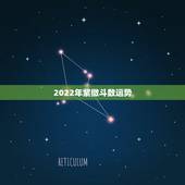 2022年紫微斗数运势，2022年免费测八字运势