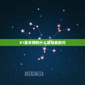 91属羊男和什么属相最配对，91年属羊男命太苦了