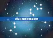 八字正缘桃花查询免费，免费八字测正缘