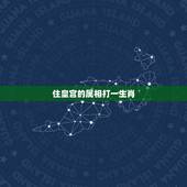 住皇宫的属相打一生肖，大臣是什么生肖？