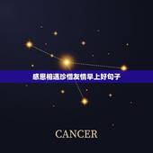 感恩相遇珍惜友情早上好句子，感恩相遇，不负遇见+友情句子