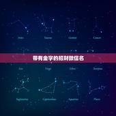 带有金字的招财微信名，带财运的微信名字大全