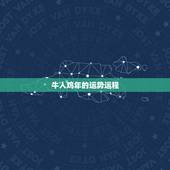 牛人鸡年的运势运程，属牛人今日运势运程