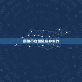 属相不合但星座非常的，你们是相信星座准 还是相信八字比较准 我跟他星座