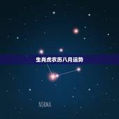 生肖虎农历八月运势，74年属虎人今年运程