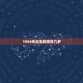 1954年出生到现在几岁，03年到现在几岁