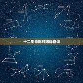 十二生肖配对姻缘查询，12生肖最佳姻缘配对表