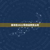 属羊在2022年的运势怎么样，1967年羊2022年每月运势