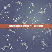 属相猴非常喜欢和猪在一起会怎样，属猪的和属猴的在一起适合吗？