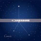十二生肖属龙最佳婚配，属龙的属相婚配表