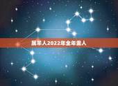 属羊人2022年全年贵人，2022年对属羊的人好不好