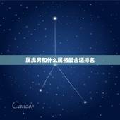 属虎男和什么属相最合适排名，属虎和什么属相最配