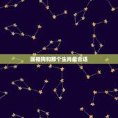 属相狗和那个生肖最合适，属狗的人和什么属相相配最好