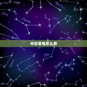 中华草龟怎么养，中华草龟怎么养！