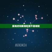 属相虎和属相蛇能不能相配，属虎的和属蛇的相配吗？