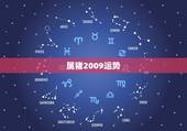 属猪2009运势，2010年属猪人的运势？