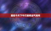 属蛇今天下午打麻将运气如何，今日麻将运势如何