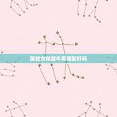 属蛇女和属牛男婚配好吗，属蛇和属牛的人在一起好吗