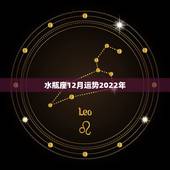 水瓶座12月运势2022年，如萱占卜2014年12月水瓶座运势
