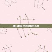 兔35和鼠25的属相合不合，属兔的和属鼠的合不合