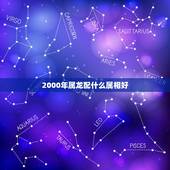 2000年属龙配什么属相好，属龙和什么属相最达配