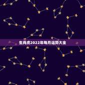 生肖虎2022年每月运势大全，2022年12生肖运势解析