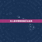 夫人命中带桃花是什么生肖，夫人命中带桃花，解生肖，并理由