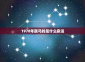 1978年属马的是什么命运，1978年属马人的命运 1978年出生是什