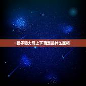 矮子骑大马上下两难是什么属相，矮子骑大马——上下两难；上下为难sss矮