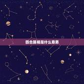 四合属相是什么意思，吉数二四合三八.空棺三人抬.是什么生肖？