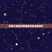有第三者破坏婚姻是否有法律保护，第三者破坏家庭的，有罪吗，可以告吗