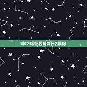 2023农历四月冲什么属相，2023年4月4日清明日上山扫墓冲什么生肖