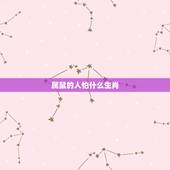 属鼠的人怕什么生肖，属蛇的人最怕什么生肖