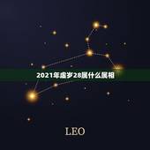 2021年虚岁28属什么属相，属兔子的2021年今年多大