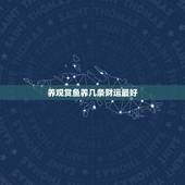 养观赏鱼养几条财运最好，风水鱼有哪些？风水鱼养几条好？