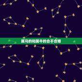 属马的和属牛的合不合婚，属牛与属马搭档