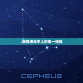 .姻缘线是手上的哪一根线，手掌中那一条是感情线。那条是财运线和婚姻线呢