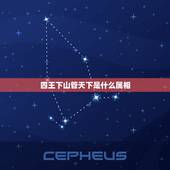 四王下山管天下是什么属相，四王下山管天下 ，猜一生肖
