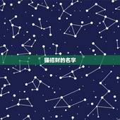猫招财的名字，给主人带来好运的猫名字