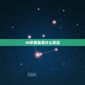 48岁属鼠是什么命运，72属鼠女人的后半生