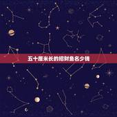 五十厘米长的招财鱼名少钱，40CM的招财鱼能值多少钱？