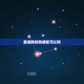 属相狗和狗婚配可以吗，属狗的男人能不能和属狗的女人婚配？