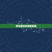 男龙最好的婚配属相，属龙的配啥属相最好？