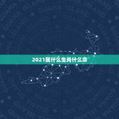 2021属什么生肖什么命，2021年20岁属什么生肖